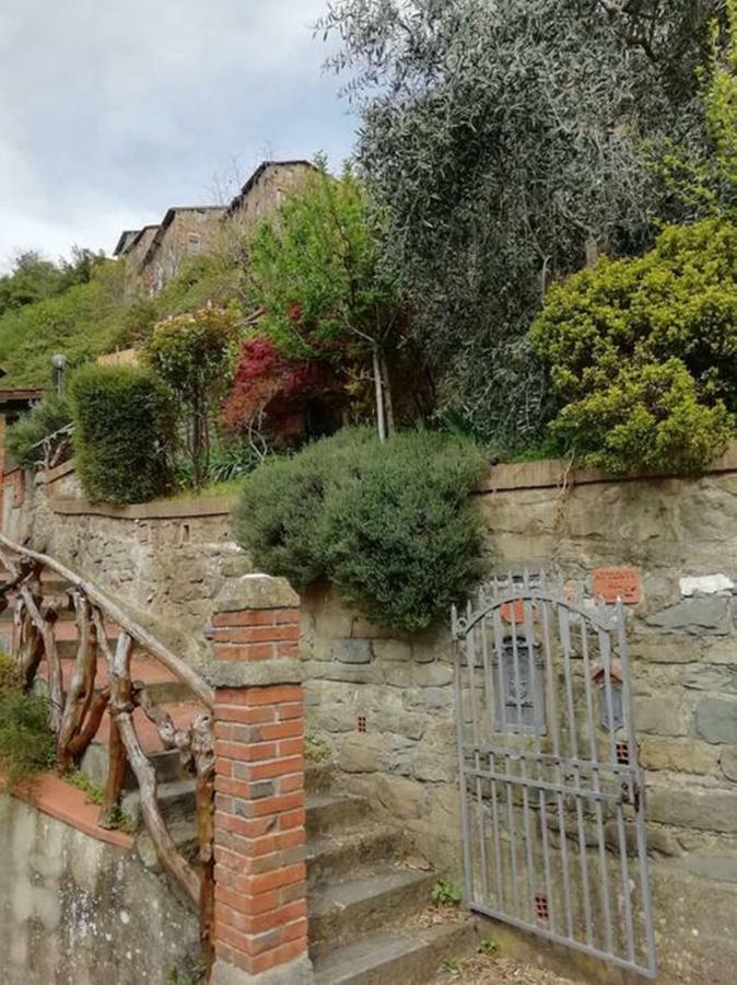 Collodi Castle Fairyhouse Lägenhet Exteriör bild